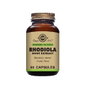 SOLGAR Rhodiola extrait de racine 60 capsules végétales