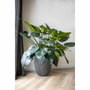 Capi Europe Vase GROOVE NL Anthracite 34x46 cm