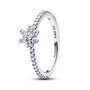 Bague Femme Pandora 194499C01-54 Argenté 14