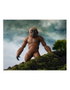 Tamashii Nations S.H. MonsterArts Figurine Suko & Mothra 2024 Version - Godzilla vs Kong - 7 cm, 29 cm - Pack de 2