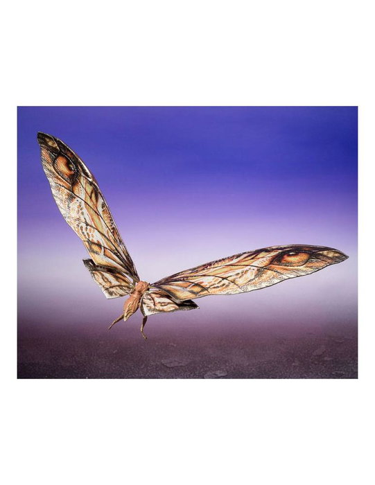 Tamashii Nations S.H. MonsterArts Figurine Suko & Mothra 2024 Version - Godzilla vs Kong - 7 cm, 29 cm - Pack de 2 Tamashii Nations S.H. MonsterArts Figurine Suko & Mothra 2024 Version - Godzilla vs Kong - 7 cm, 29 cm - Pack de 2