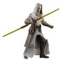 Hasbro Star Wars: The Clone Wars Black Series figurine Jedi Temple Guard 15 cm