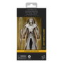 Hasbro Star Wars: The Clone Wars Black Series figurine Jedi Temple Guard 15 cm