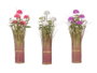 Ibergarden Ramillete Margarita 5 Fleurs Assorties - 20x48x20 cm, Plastique et Corde, Blanc/Rose/Violet (Set de 6)