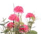 Ibergarden Ramillete Margarita 5 Fleurs Assorties - 20x48x20 cm, Plastique et Corde, Blanc/Rose/Violet (Set de 6)