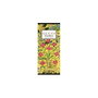 Gucci Flora Gorgeous Orchid Eau de Parfum 50 ml