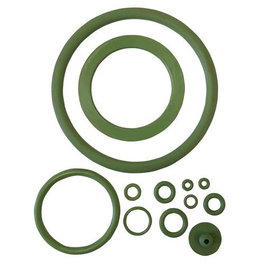 Riegolux Joint Viton pour Pulvérisateur