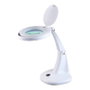 Perfect Beauty Lampe de Grossissement de Table OWL LED 5 Dioptries