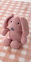 Creaciones Llopis - Set caisse tapis motifs 90 x 75 cm rose bois + chien 26 cm - Pour bébé