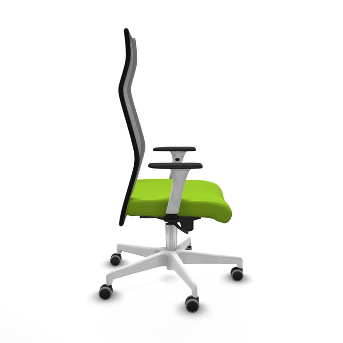 Piqueras y Crespo Chaise de Bureau Albacete Pistache et Noir