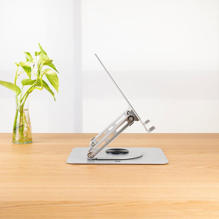 Écran TooQ PH-DAFNE-S 17" Argenté