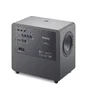 FOCAL Sub One Caisson de Basse Actif 2x100W RMS 2x8 Pouces Fibre de Carbone