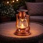 Lumière LED Solaire de Jardin IP65 LUM-D2-B
