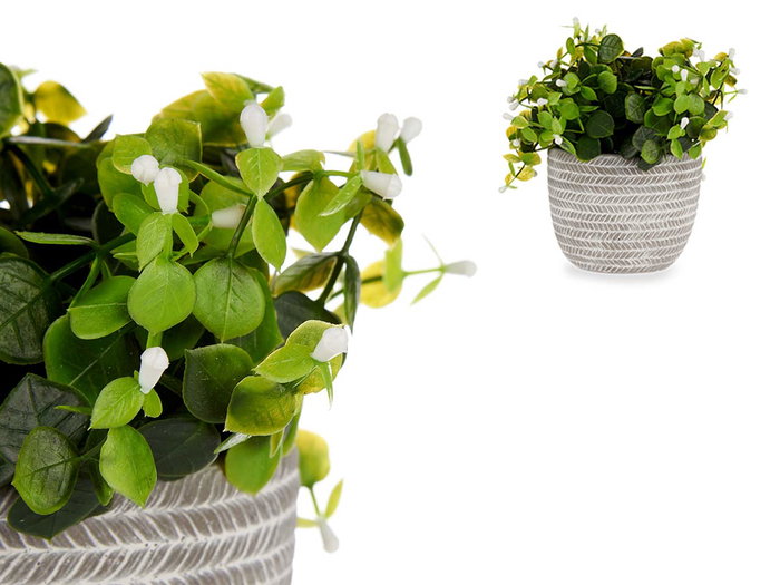 IBERGARDEN Plante verte avec fleurs blanches et pot gris