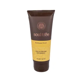 SOULTREE Exfoliant Facial Noix, Curcuma et Santal