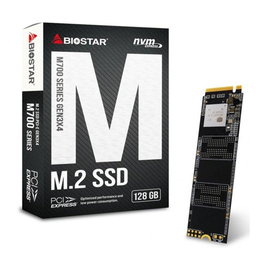 Biostar M700 Disque SSD Interne 128 Go M.2 NVMe PCIe 4.0 Lecture 1850 Mo/s Écriture 950 Mo/s