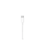 Apple Câble USB-C vers Lightning 2 m - Charge et synchronisation rapide pour iPhone, iPad - Câble de recharge Blanc