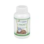 Triconatura Linoet 60 perles