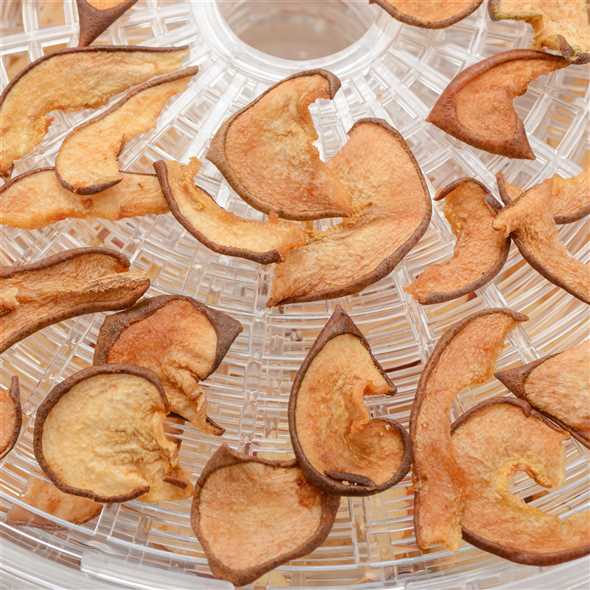 Ariete 616 Déshydrateur Alimentaire avec 5 Plateaux Superposés - Pour Fruits, Légumes, Viandes et Poissons - Système Sain qui Préserve les Nutriments et le Goût