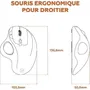Mobility Lab Souris sans fil Trackball ergonomique pour droitier Noir - Design doux au toucher, navigation latérale, mode économie d'énergie avec récepteurs USB et USB-C