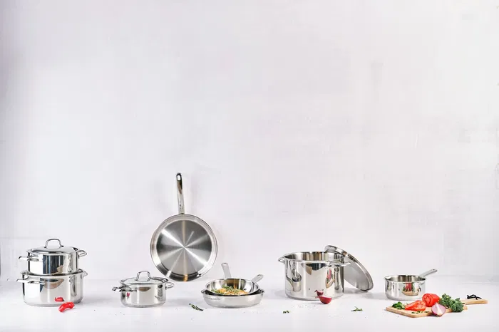 Cosy & Trendy Cocotte Asperges Daily Ø16 cm Inox Induction - Fonds Aluminium Encapsulé, Va au Four, Lave-Vaisselle