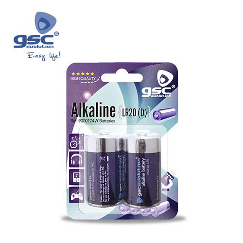 GSC Evolution Piles alcalines LR20 (D) Blister de 2 unités