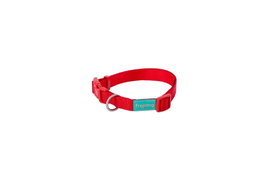 Freedog Collier Nylon Basic Rouge 25mm 38/66cm