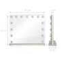 Livoo Miroir de maquillage Hollywood DOS225G - 15 LED - Grand format