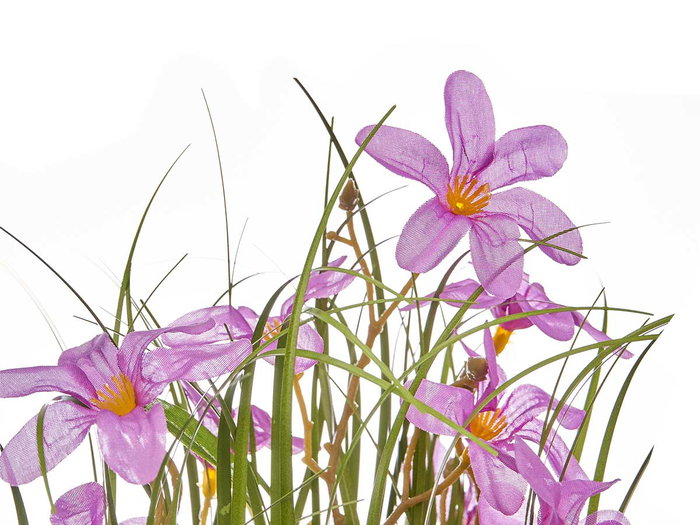 Ibergarden Ramillete Jacinto 15 Fleurs Assorties Couleurs Blanc Rose Violet 20x48x20 cm Plastique Corde Liège Pot 9 cm (Set de 6)