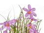 Ibergarden Ramillete Jacinto 15 Fleurs Assorties Couleurs Blanc Rose Violet 20x48x20 cm Plastique Corde Liège Pot 9 cm (Set de 6)