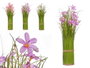 Ibergarden Ramillete Jacinto 15 Fleurs Assorties Couleurs Blanc Rose Violet 20x48x20 cm Plastique Corde Liège Pot 9 cm (Set de 6)