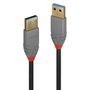 Lindy Câble USB 3.2 Anthra Line Type A vers A 0,5 m
