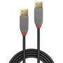 Lindy Câble USB 3.2 Anthra Line Type A vers A 0,5 m