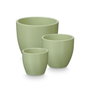 IBERGARDEN Set de 3 pots bombés Menthe mat