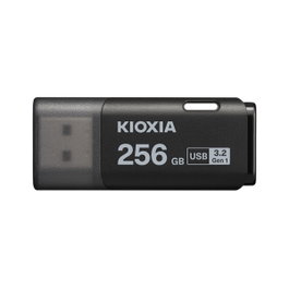 Kioxia U301 Hayabusa 256 GB Noir