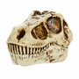 L.O.L. Surprise! GrossMos - Tête de dinosaure géante avec slime et modèles à collectionner