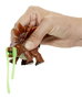 MGA - Dinosaurio GrossMos - Jouet de construction dinosaure avec mousse et slime - Trouve les pièces et construis ton dinosaure de 10 cm - Modèles assortis - À partir de 4 ans