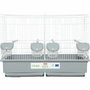 Zolux Cage d'élevage oiseaux Primo Cati - Blanc et gris