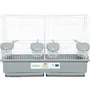 Zolux Primo Cati - Cage d'élevage pour oiseaux (Canari, Mandarin) - Dimensions : 57 x 34.5 x 41 cm - Couleur Blanc et Gris