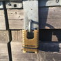 Master Lock M1177EURD Cadenas à Combinaison en Laiton Massif
