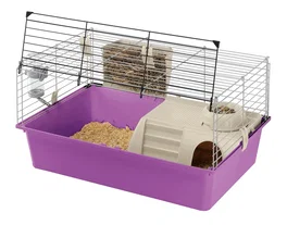 Ferplast Cage pour Rongeurs et Cobayes 70 CS