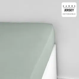 Today Drap housse Essential 140x190+25 cm 1 personne 100% Coton jersey - Celadon