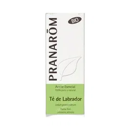 PRANAROM ACEITES Huile essentielle TE DE LABRADOR RAMA FLORI 5 ml
