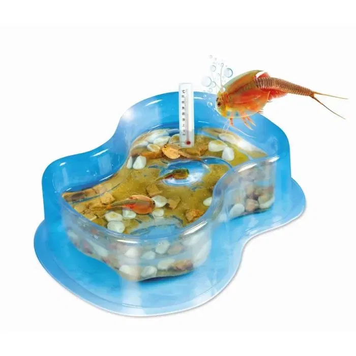 Clementoni - Jeu Éducatif et Scientifique - Mes Premiers Triops - Kit d'Élevage pour Enfants à Partir de 8 Ans