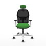 PIQUERAS Y CRESPO Chaise Alfera Synchrone Vert/Noir/Blanc