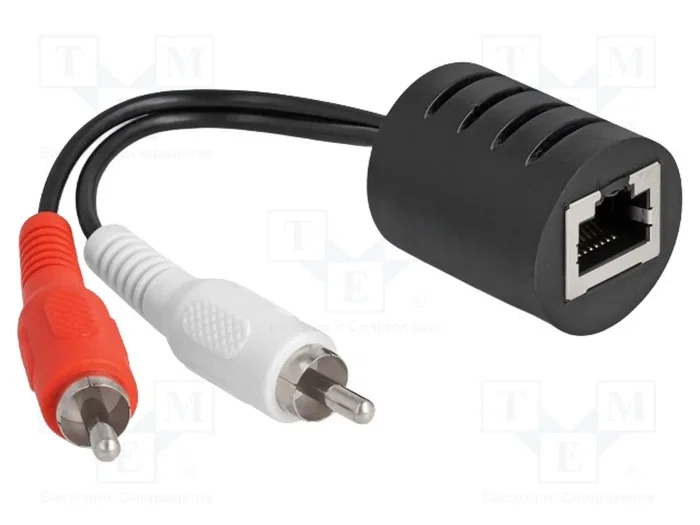 DELOCK Adaptateur RCA x2 vers RJ45 Cat 5 DELOCK Adaptateur RCA x2 vers RJ45 Cat 5