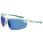 Nike WINDTRACK-M-FV2398-301