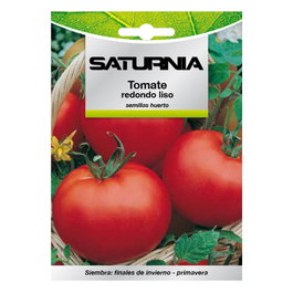 SATURNIA Semences de Tomate Redondo Liso (1 g)