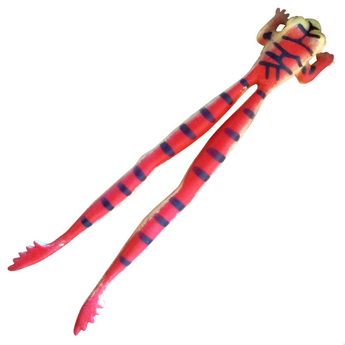Jeux 2 momes Grenouille ou Serpent Élastique 2 m Jeux 2 momes Grenouille ou Serpent Élastique 2 m