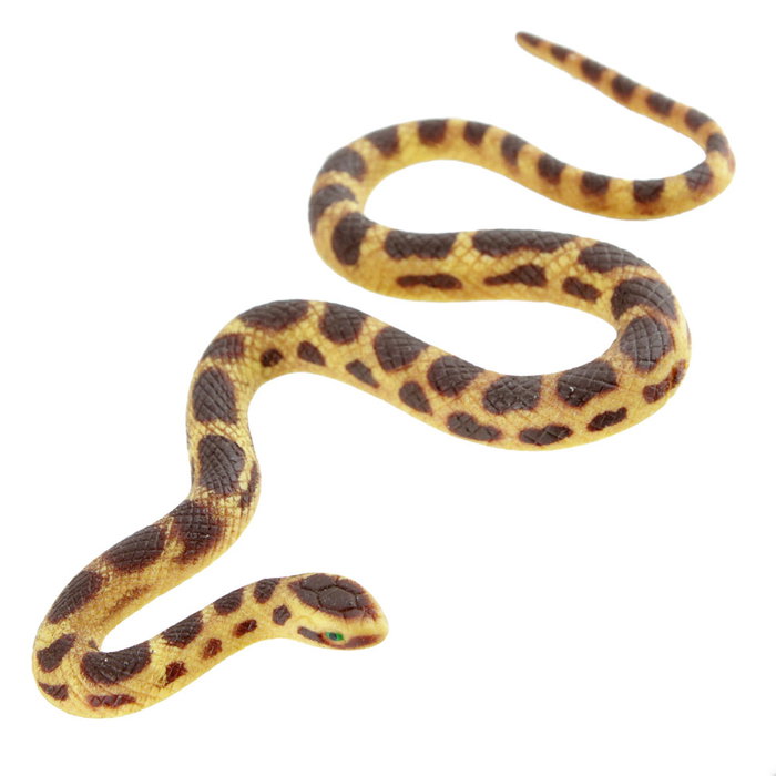 Jeux 2 momes Grenouille ou Serpent Élastique 2 m Jeux 2 momes Grenouille ou Serpent Élastique 2 m